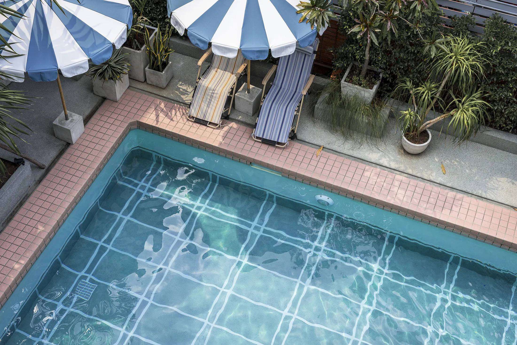 swimming-pool-in-summer-time-2025-02-10-10-51-16-utc